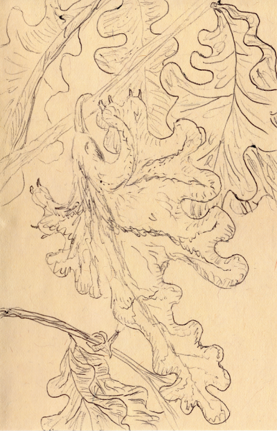 Turonayan bird small.png